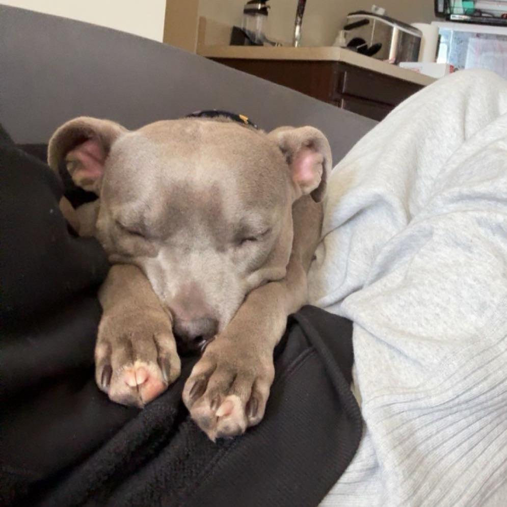 Ellie — thumbnail 6