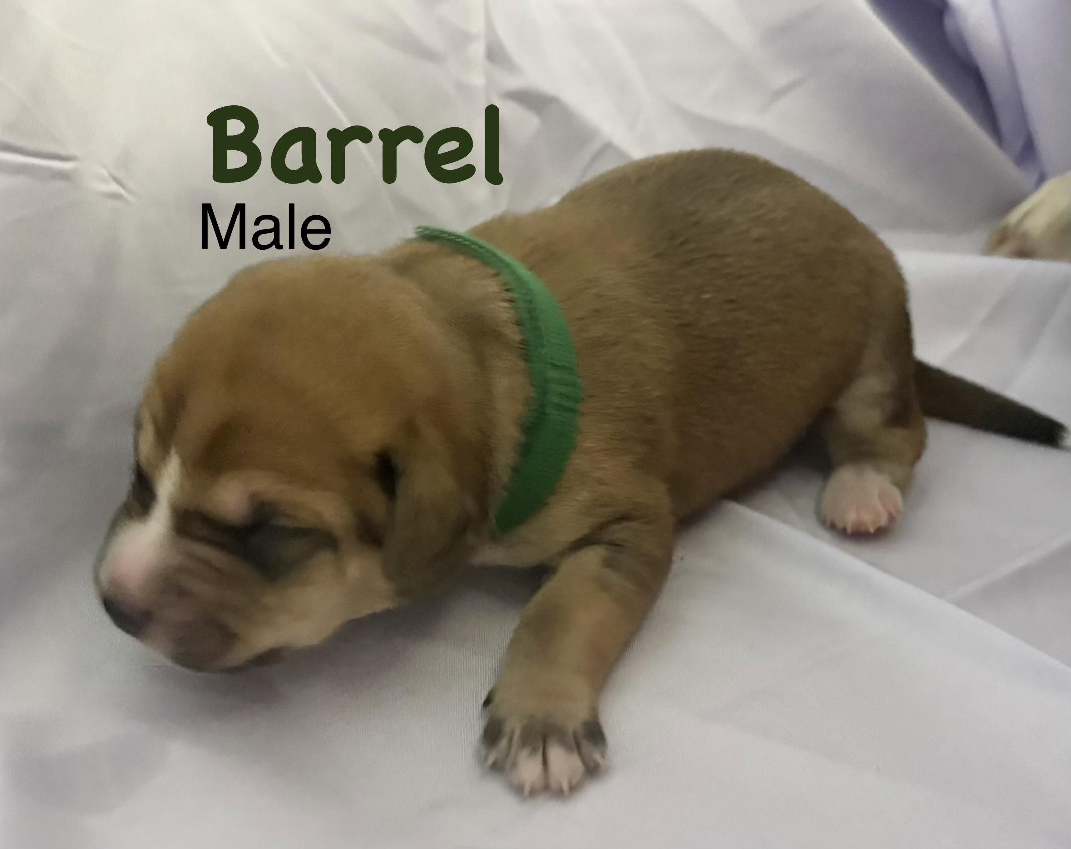 Barrel (available soon)