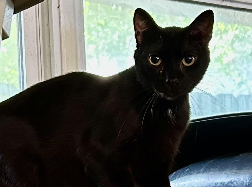 Zeke, Young Male unknown