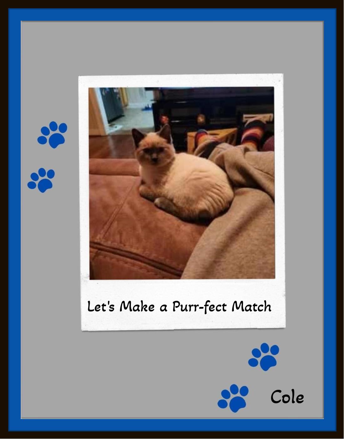 Cole - Tiny Paws photo 1