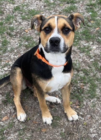 Lenore — thumbnail 2