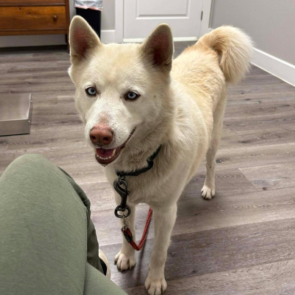 Lucius — thumbnail 2