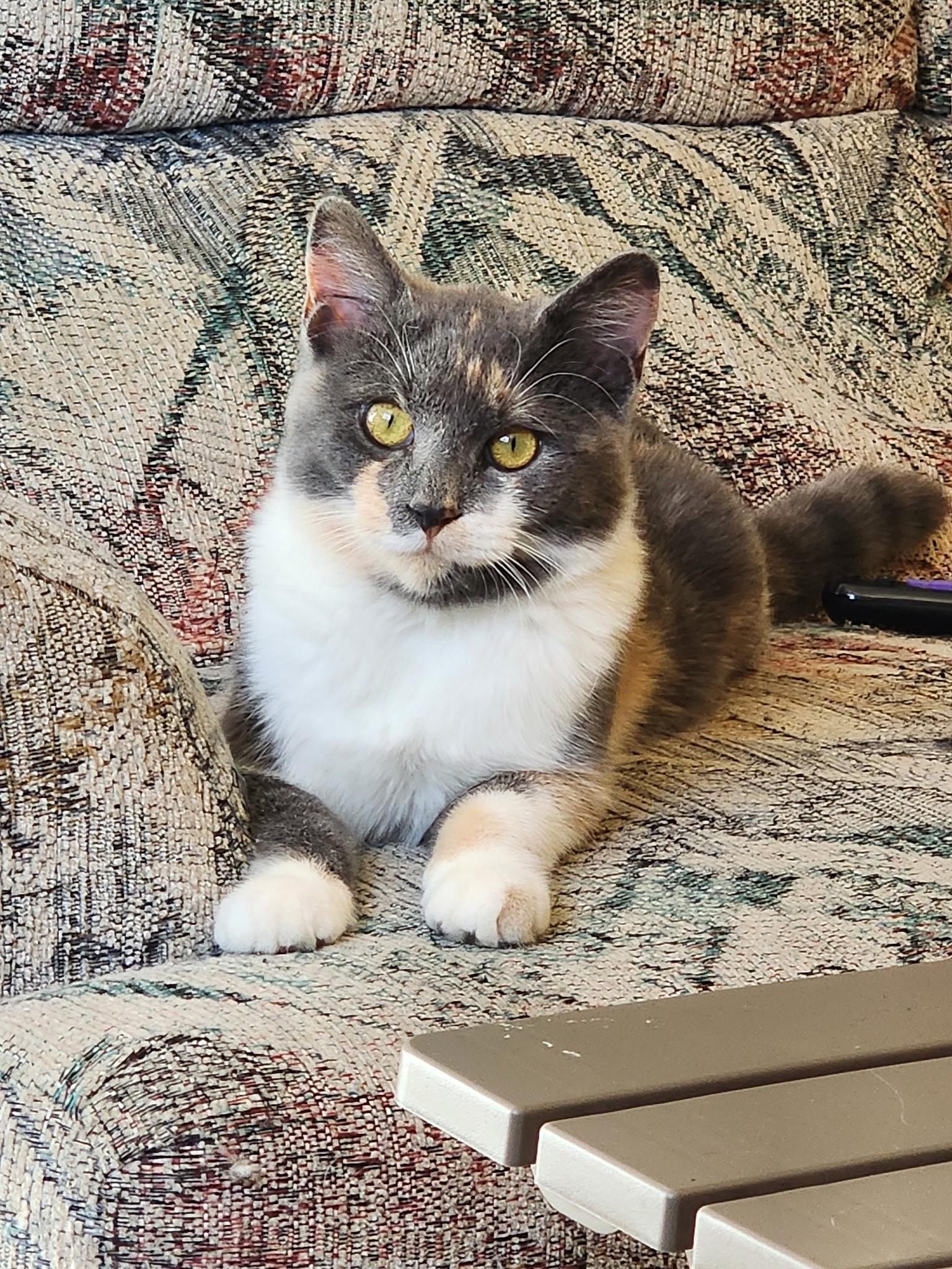 Chloe