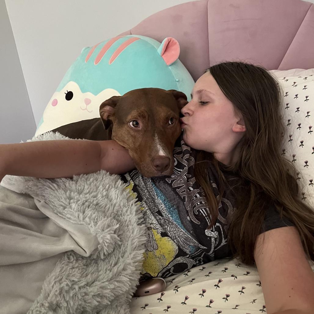 Ellison, a Adoptable Pit Bull Terrier in Peachtree City, GA image 2/6