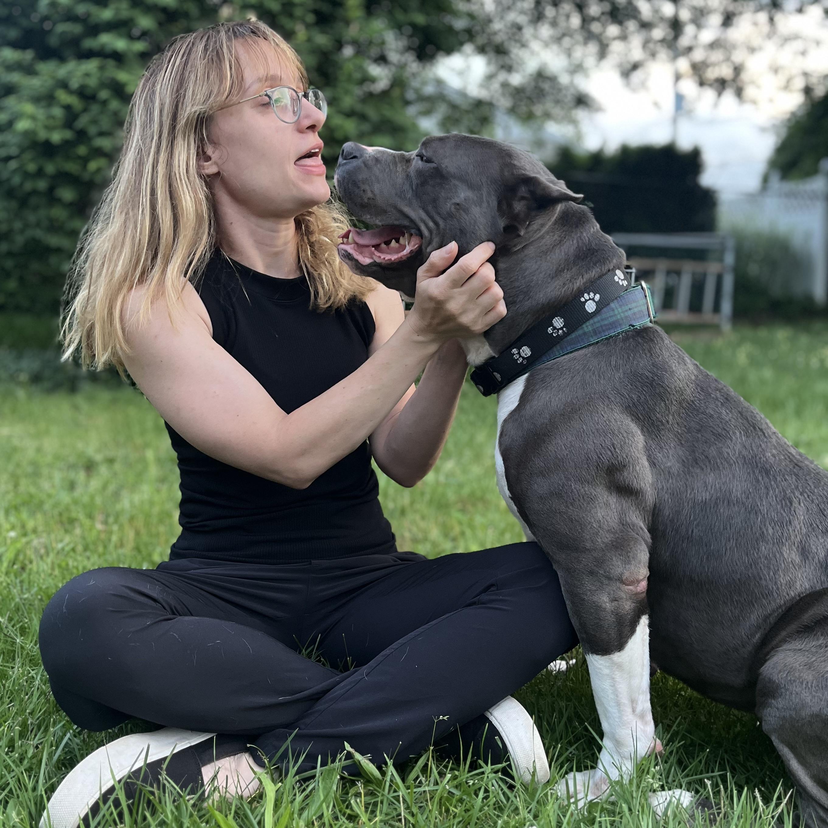 NINA the cuddle queen, a Adoptable American Bully in Cornwall on Hudson, NY image 6/6