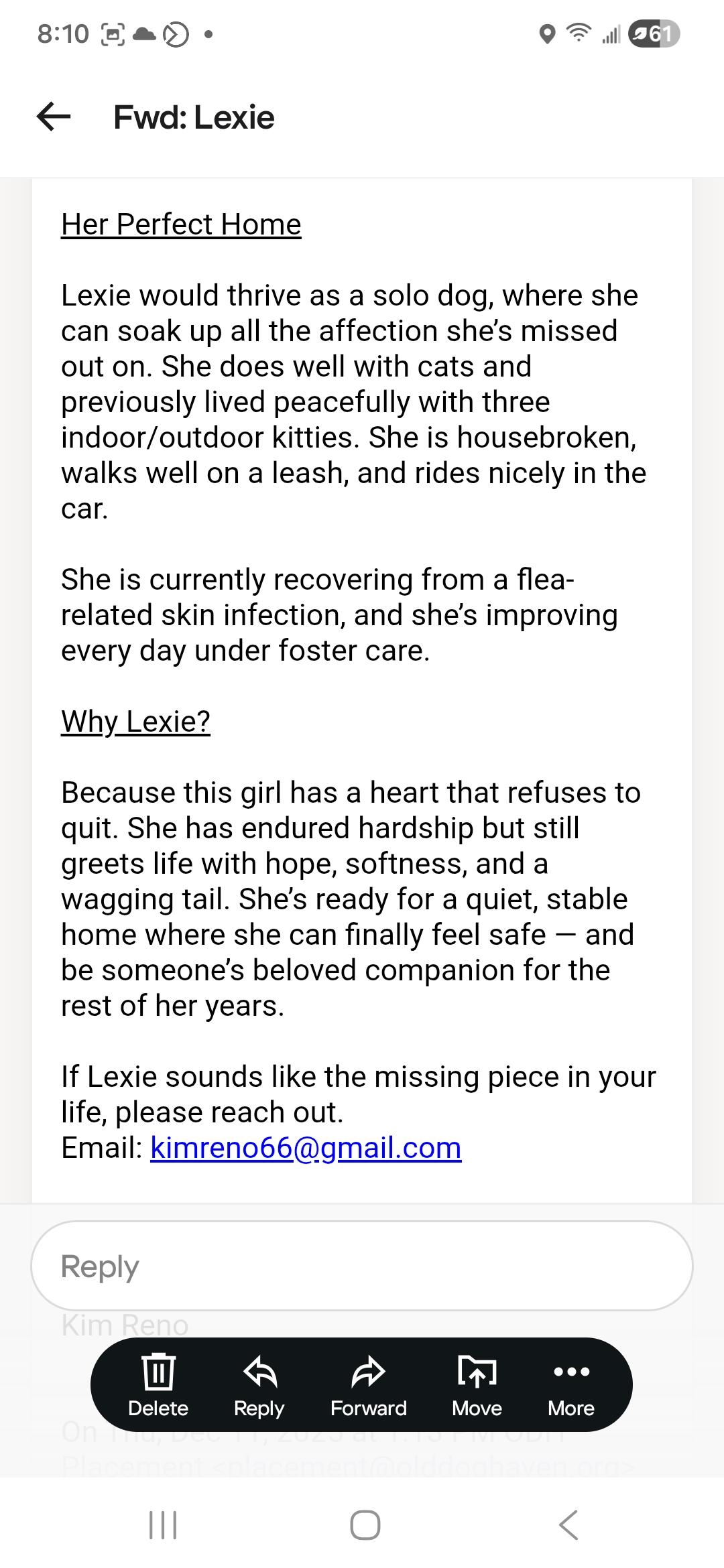 Lexie (Courtesy Post), Adoptable, Senior Female Yellow Labrador Retriever.