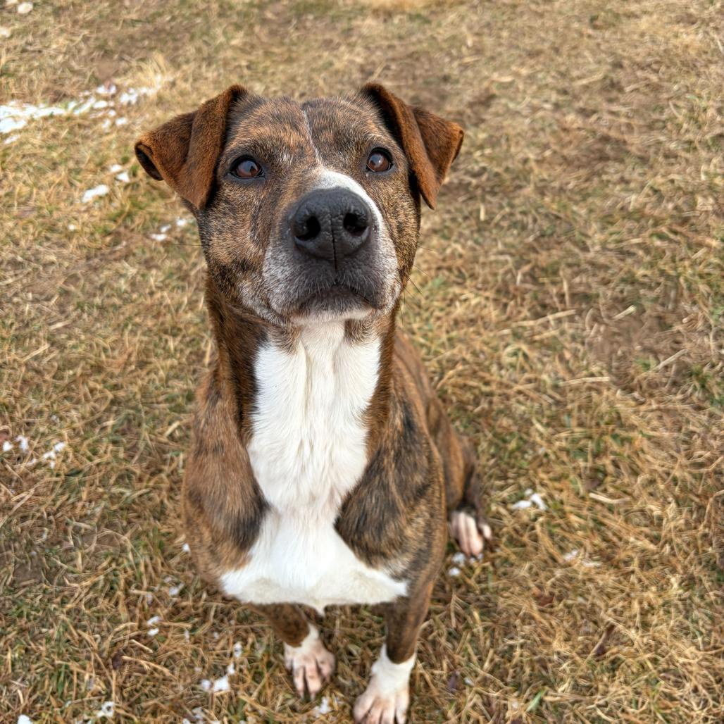 Twix — thumbnail 2