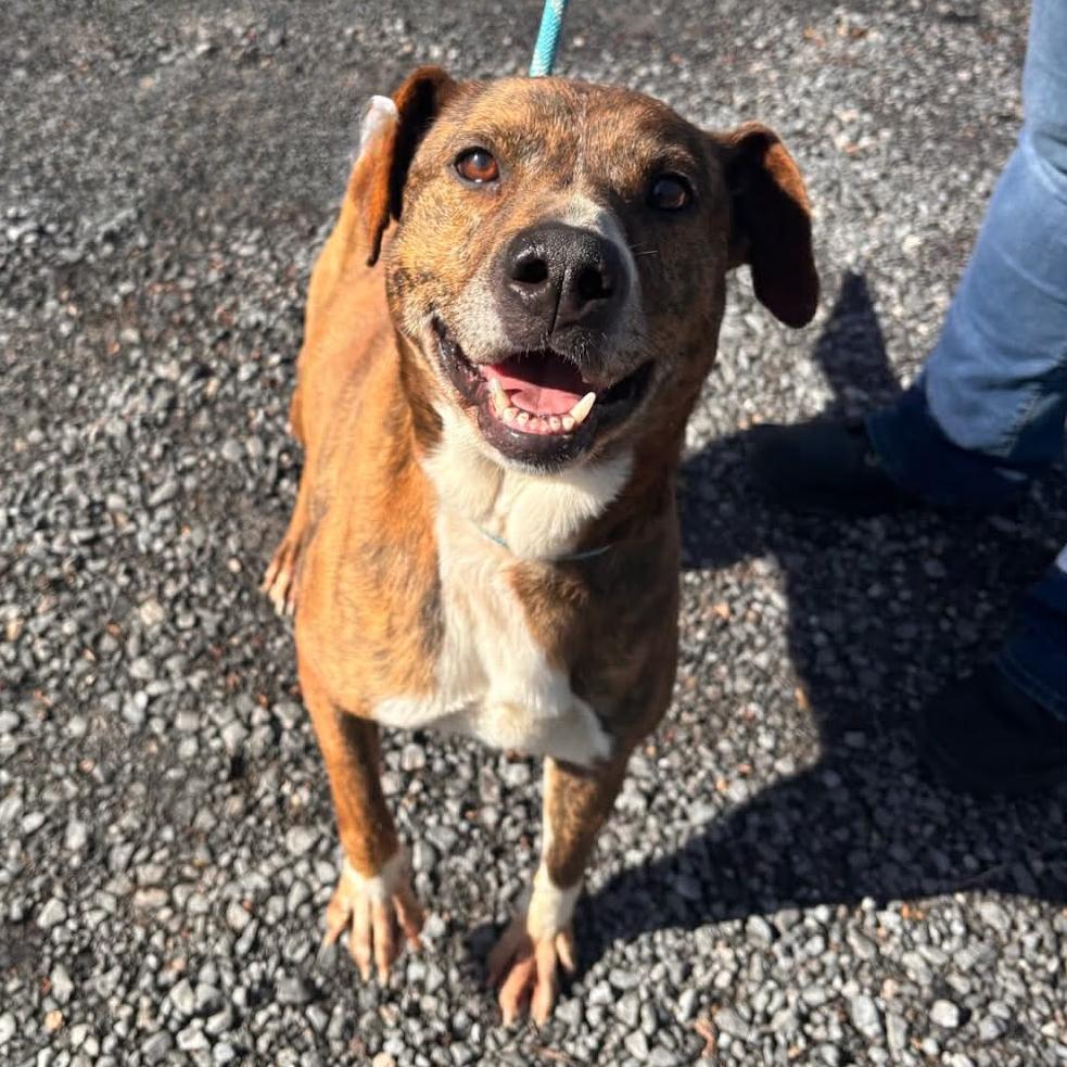 Twix — thumbnail 3