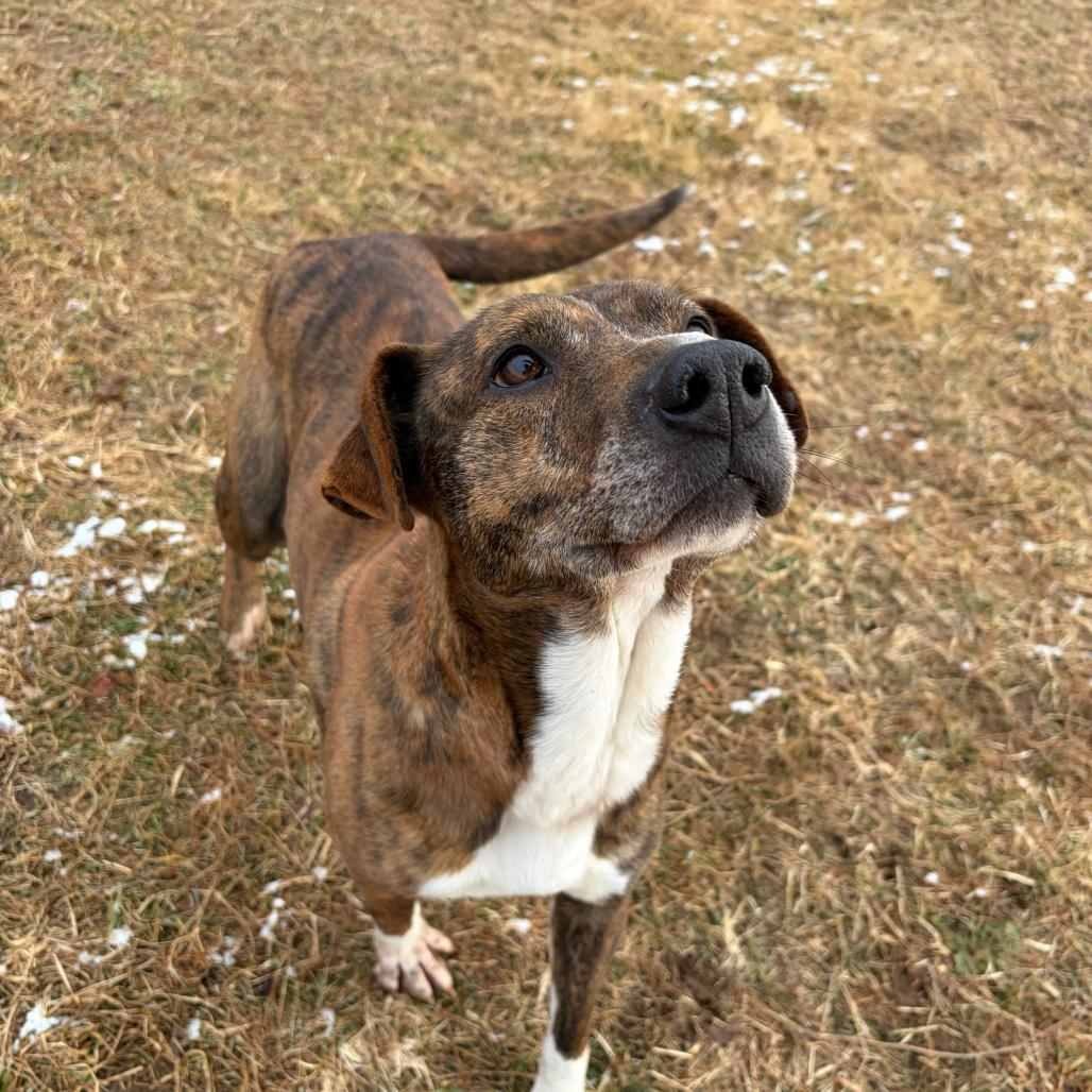 Twix — thumbnail 4