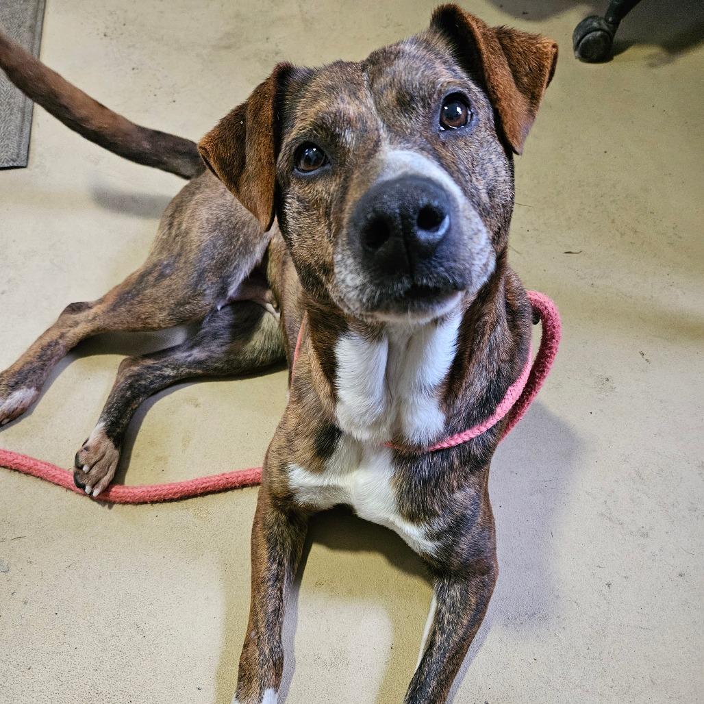 Twix — thumbnail 5