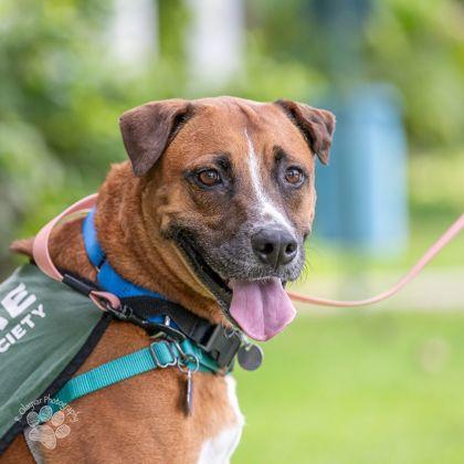 Sunny — thumbnail 2