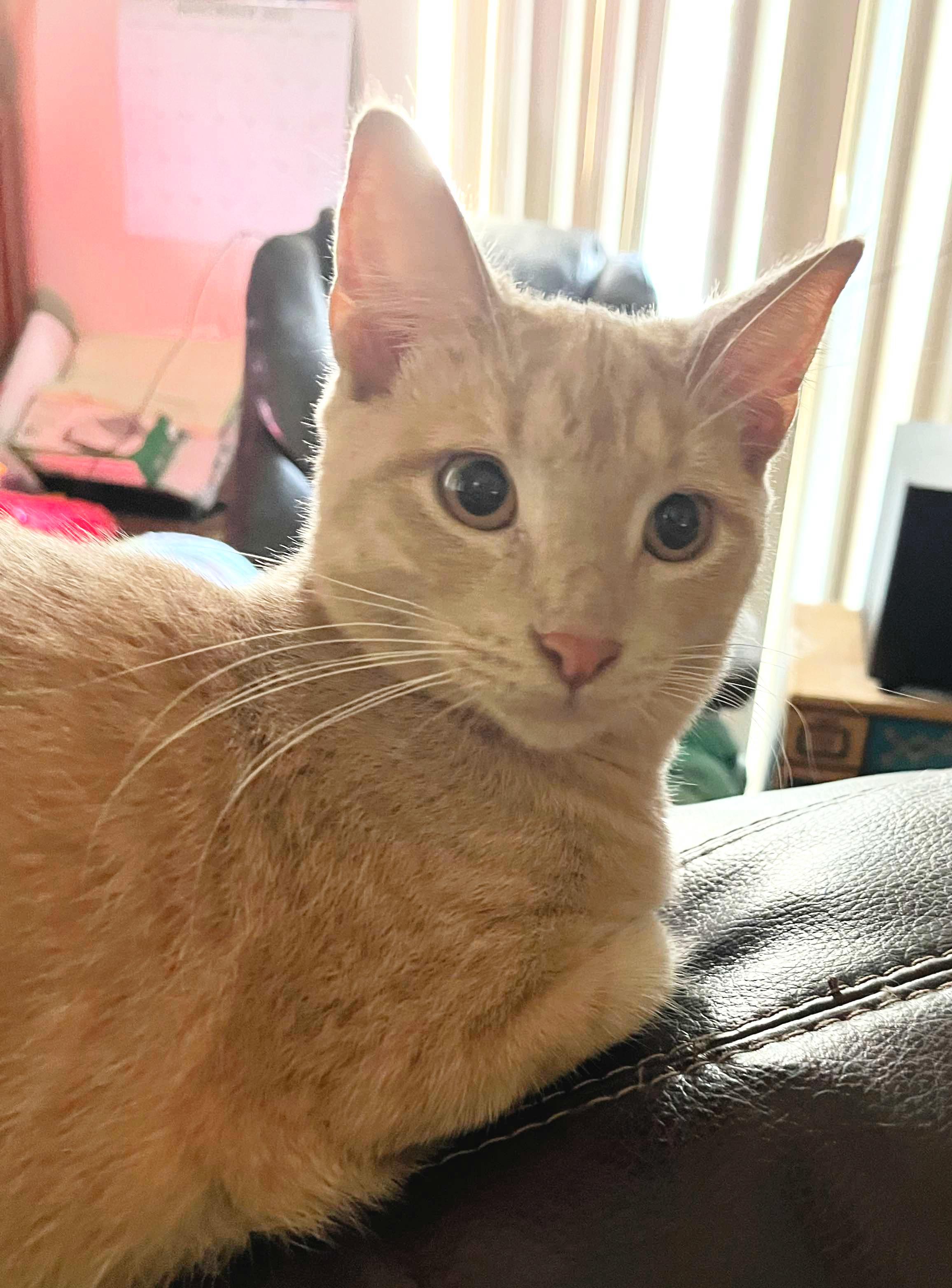 Dudley