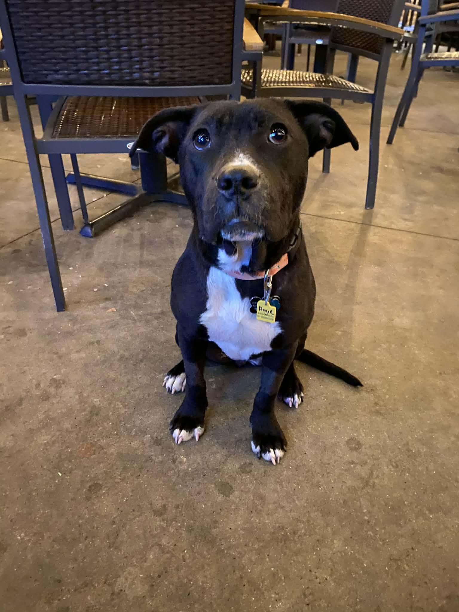 Angel — thumbnail 3