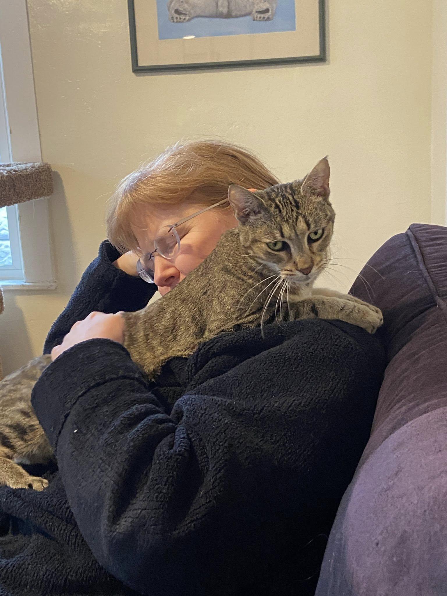 Enlarge Frisky, a ADOPTABLE mixed breed in Bath, ME image 6/6