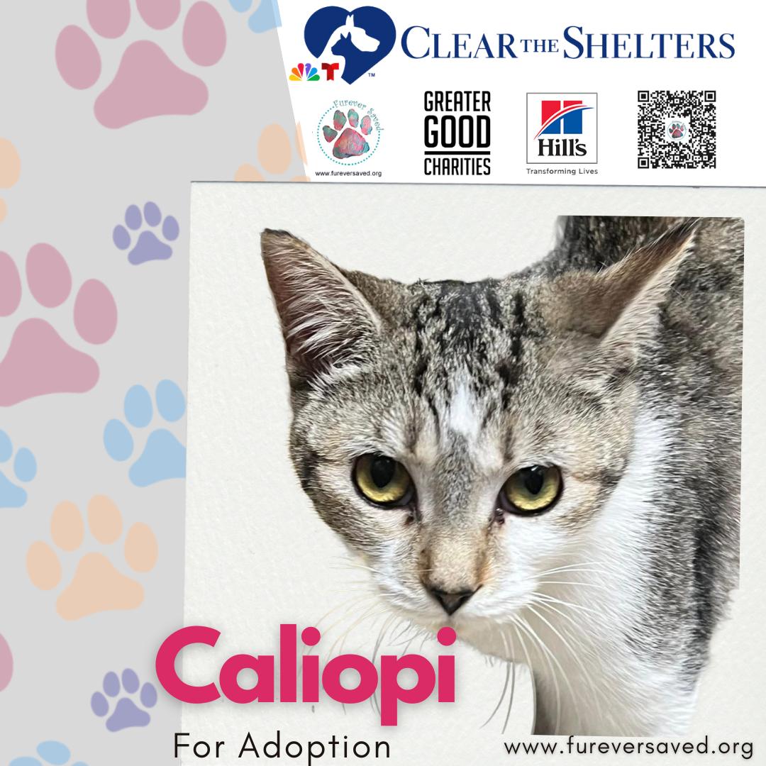 Caliopi