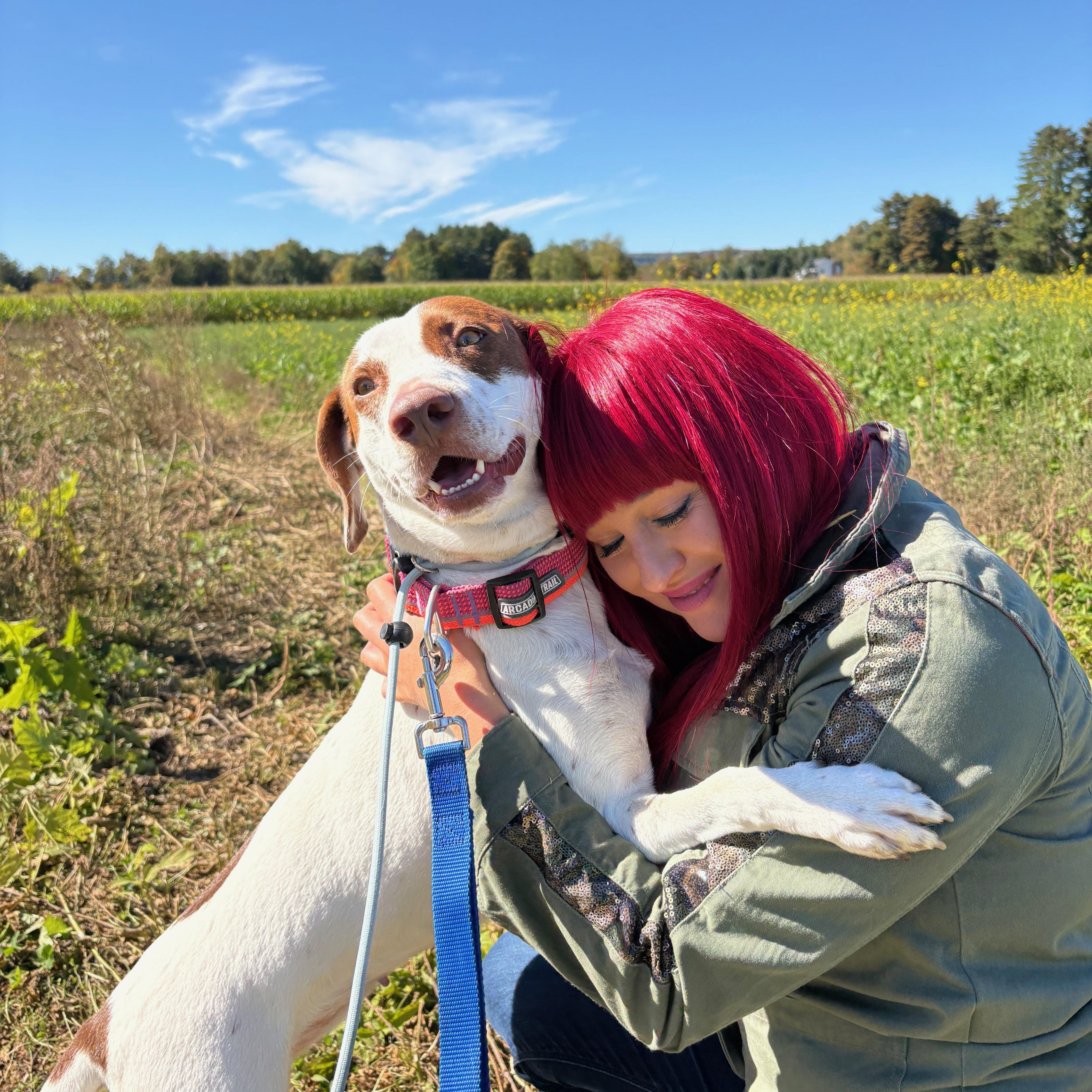 Enlarge Darcy, a Adoptable mixed breed in New Boston, NH image 3/6
