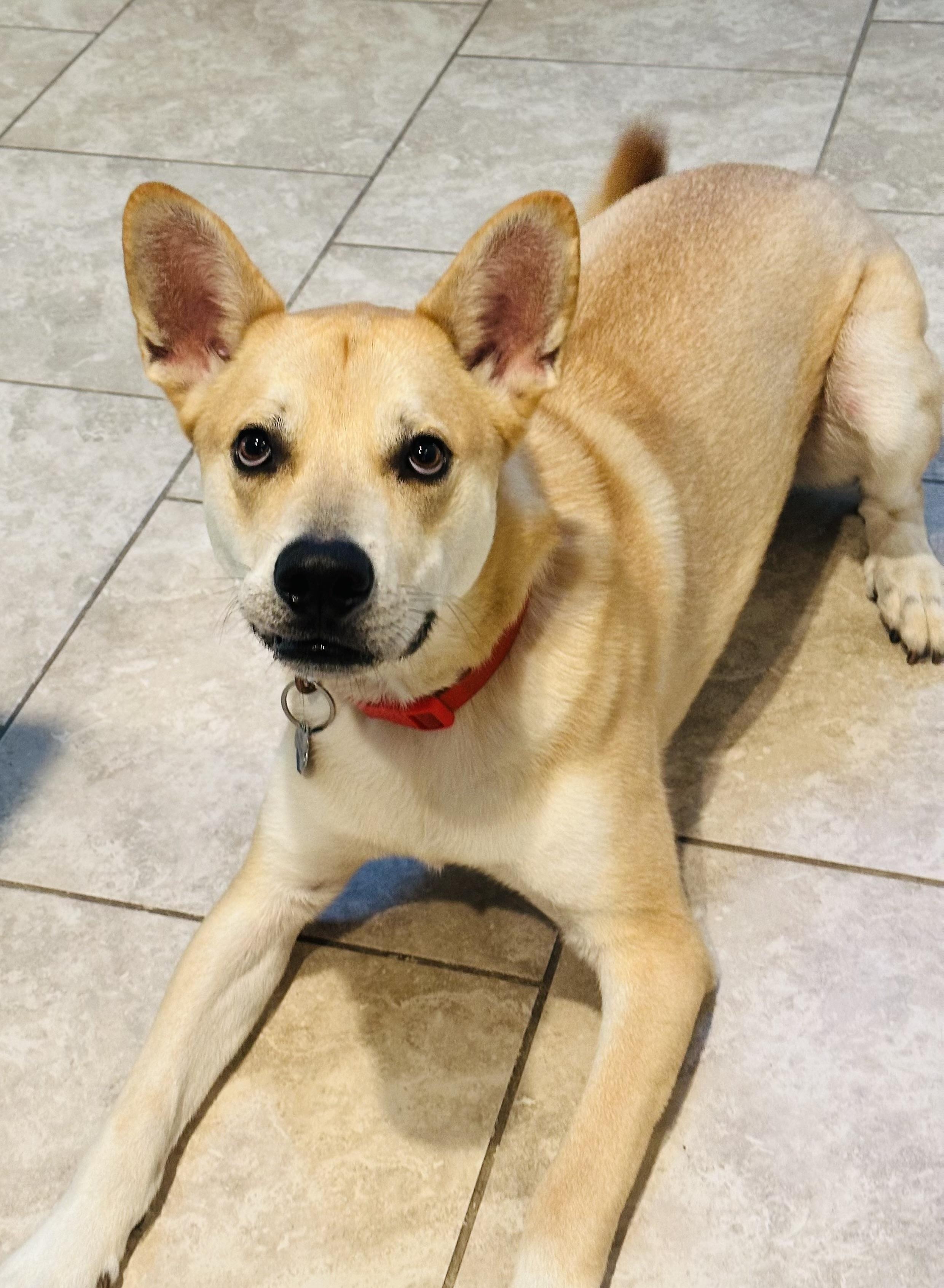 Maxx — thumbnail 5