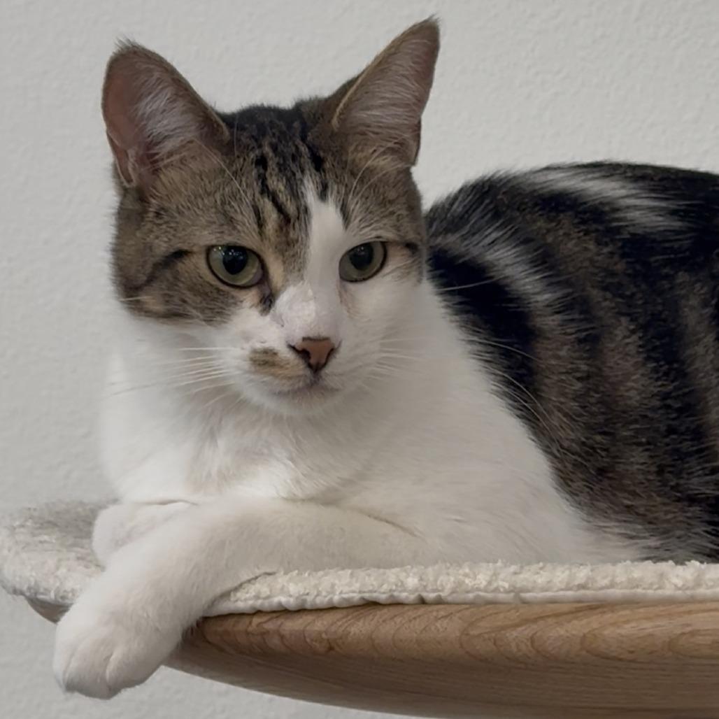 Sebastian — thumbnail 2