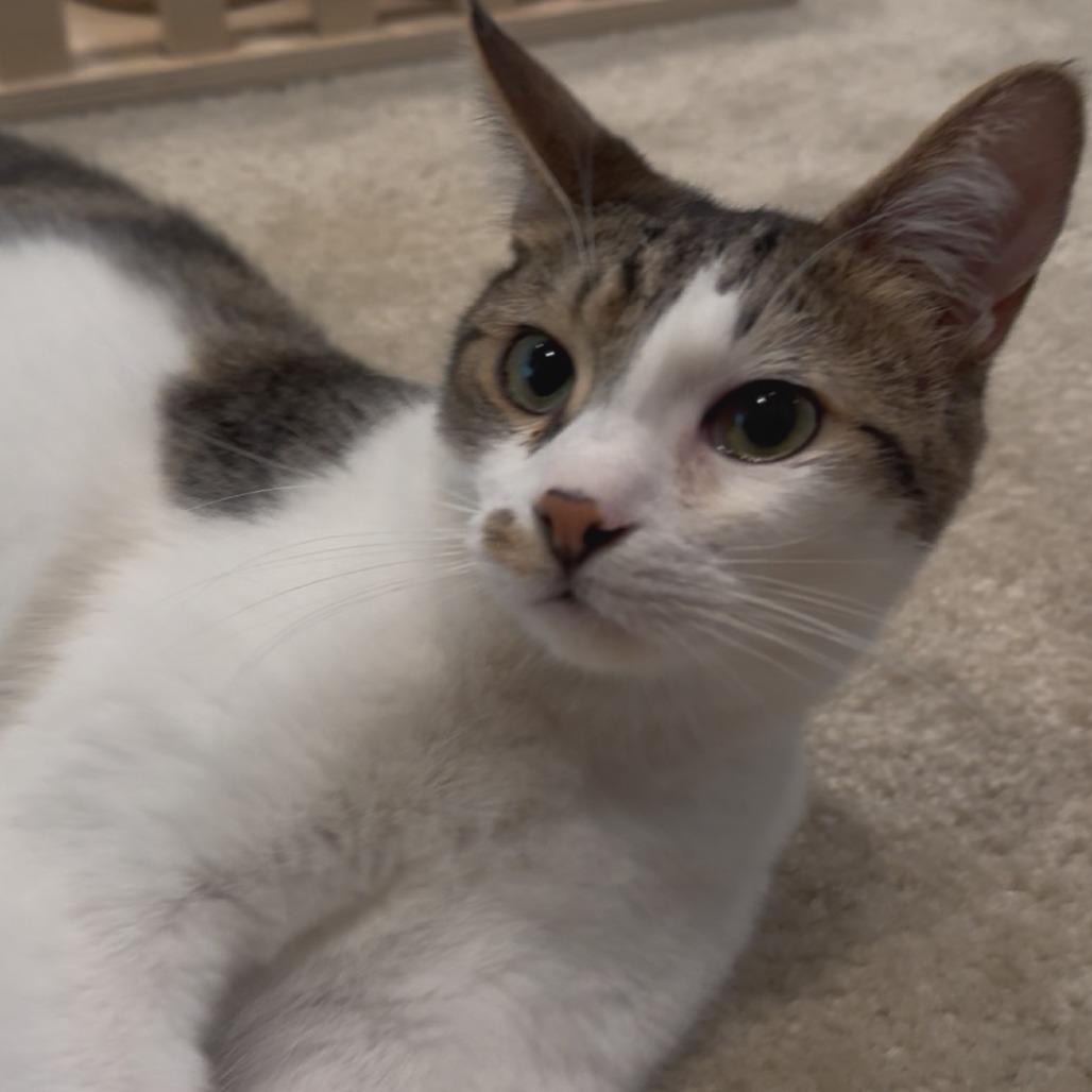 Sebastian — thumbnail 3