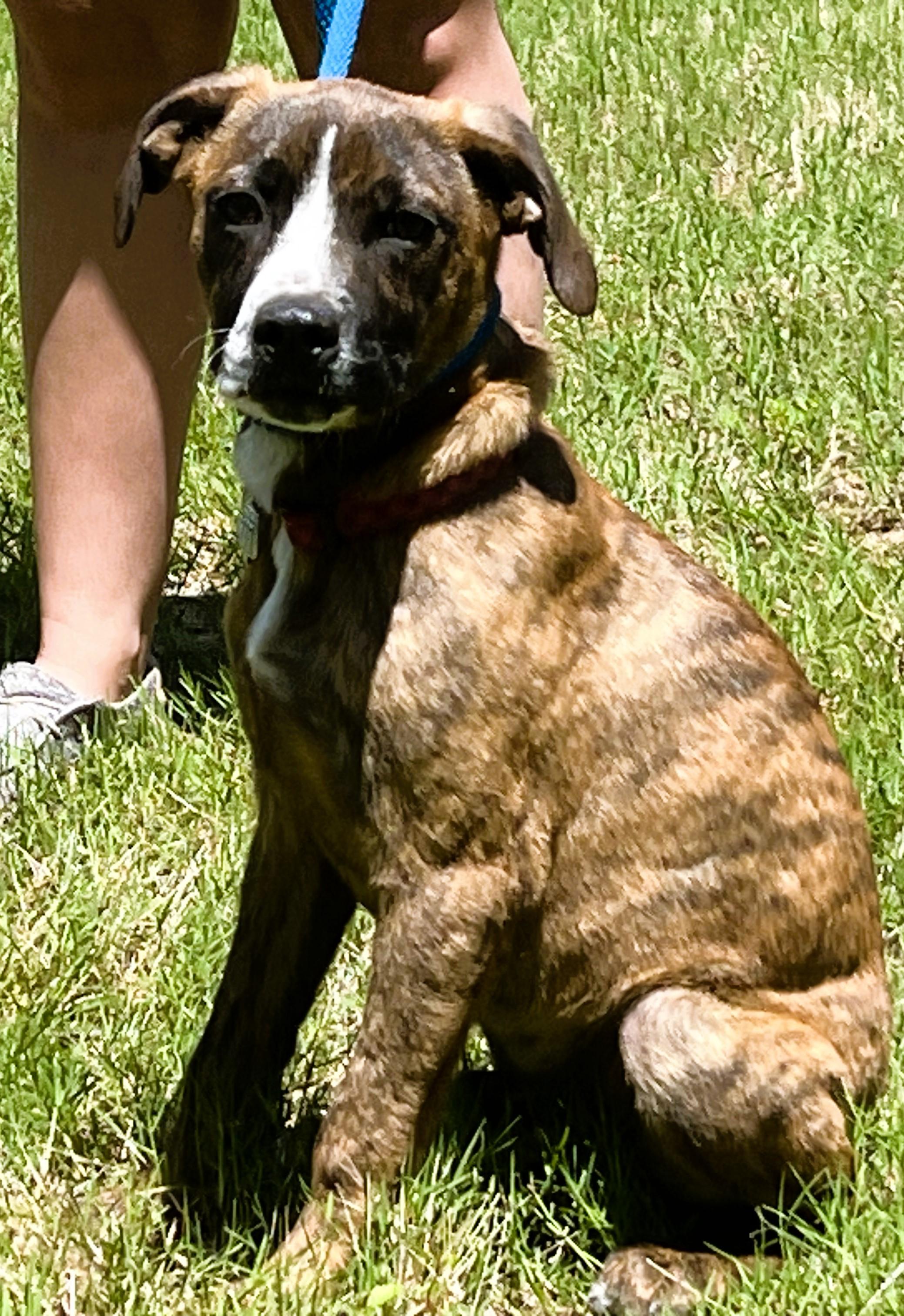 Milo --sweetheart! photo 4