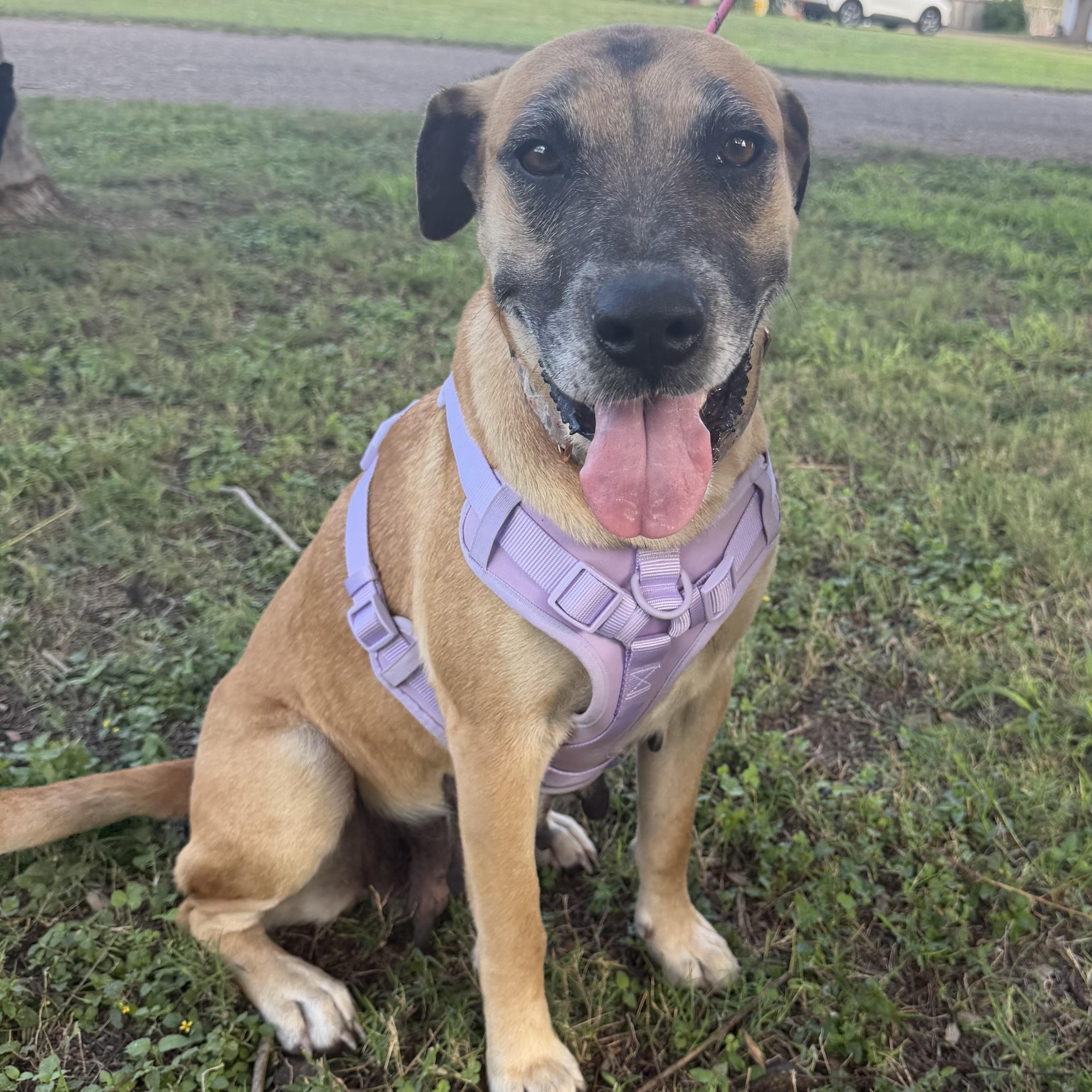 Cookie Crumb — thumbnail 3