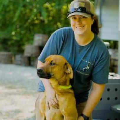 Kubota, a Adoptable Black Mouth Cur in Newport, TN image 1/3