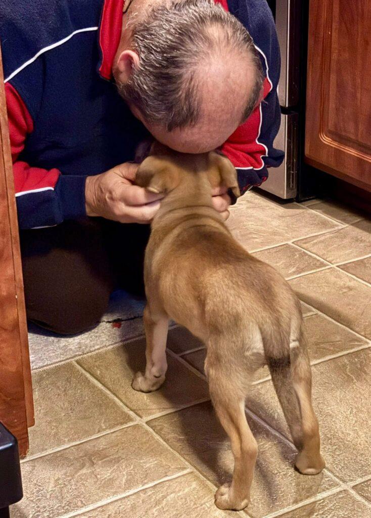 Sadie, an adopted mixed breed in Red Hook, NY image 6/6