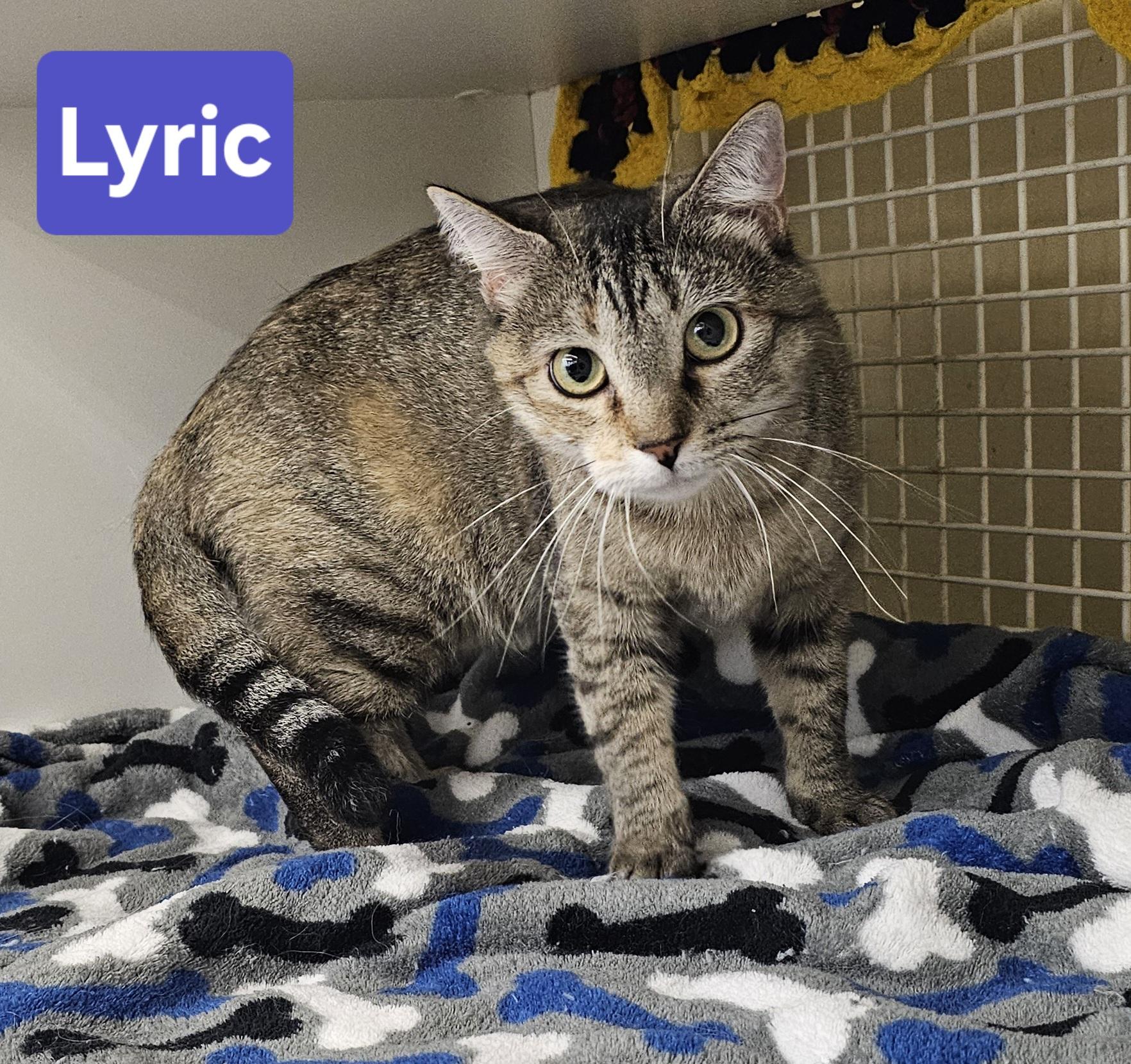 Lyric