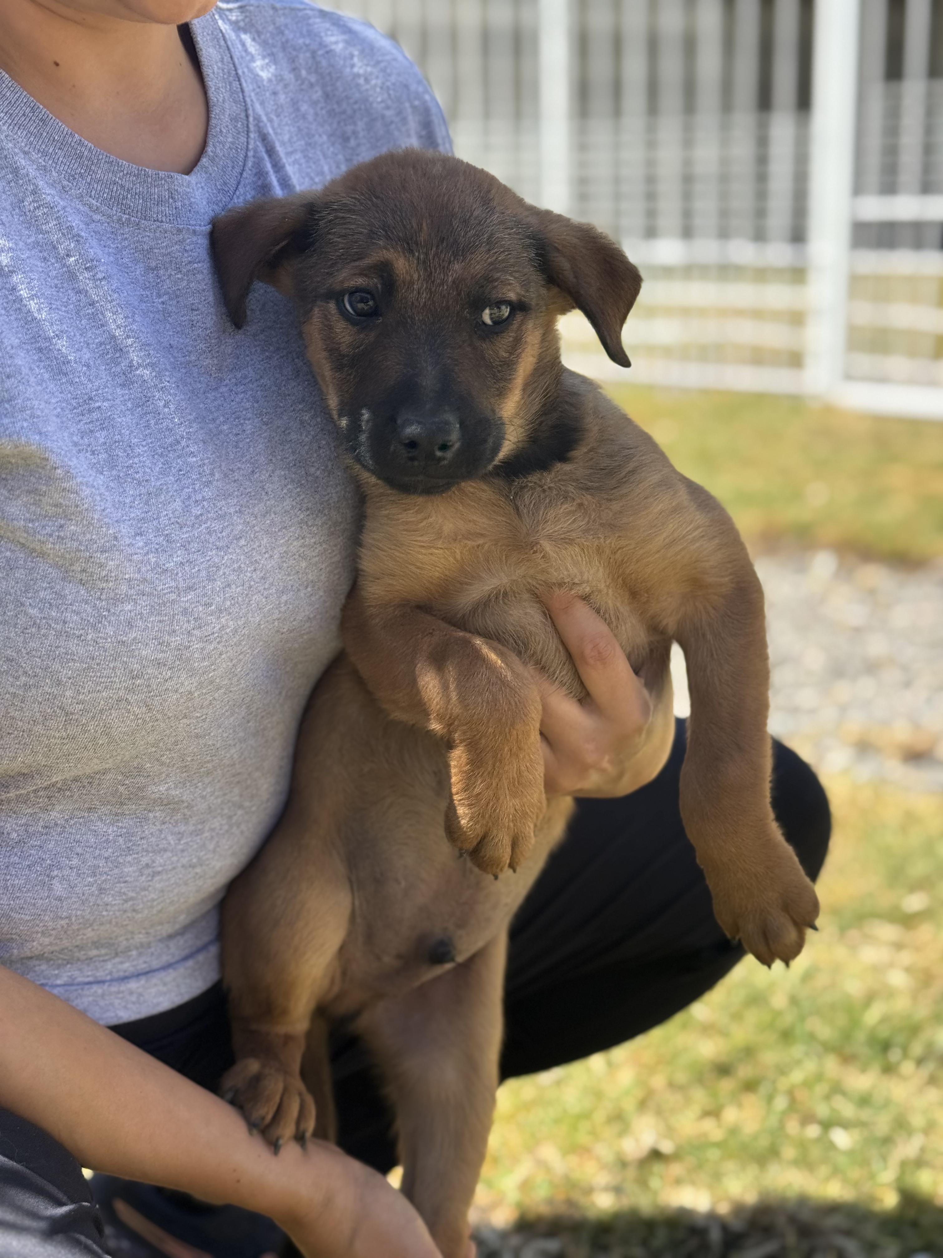 Jack — thumbnail 4