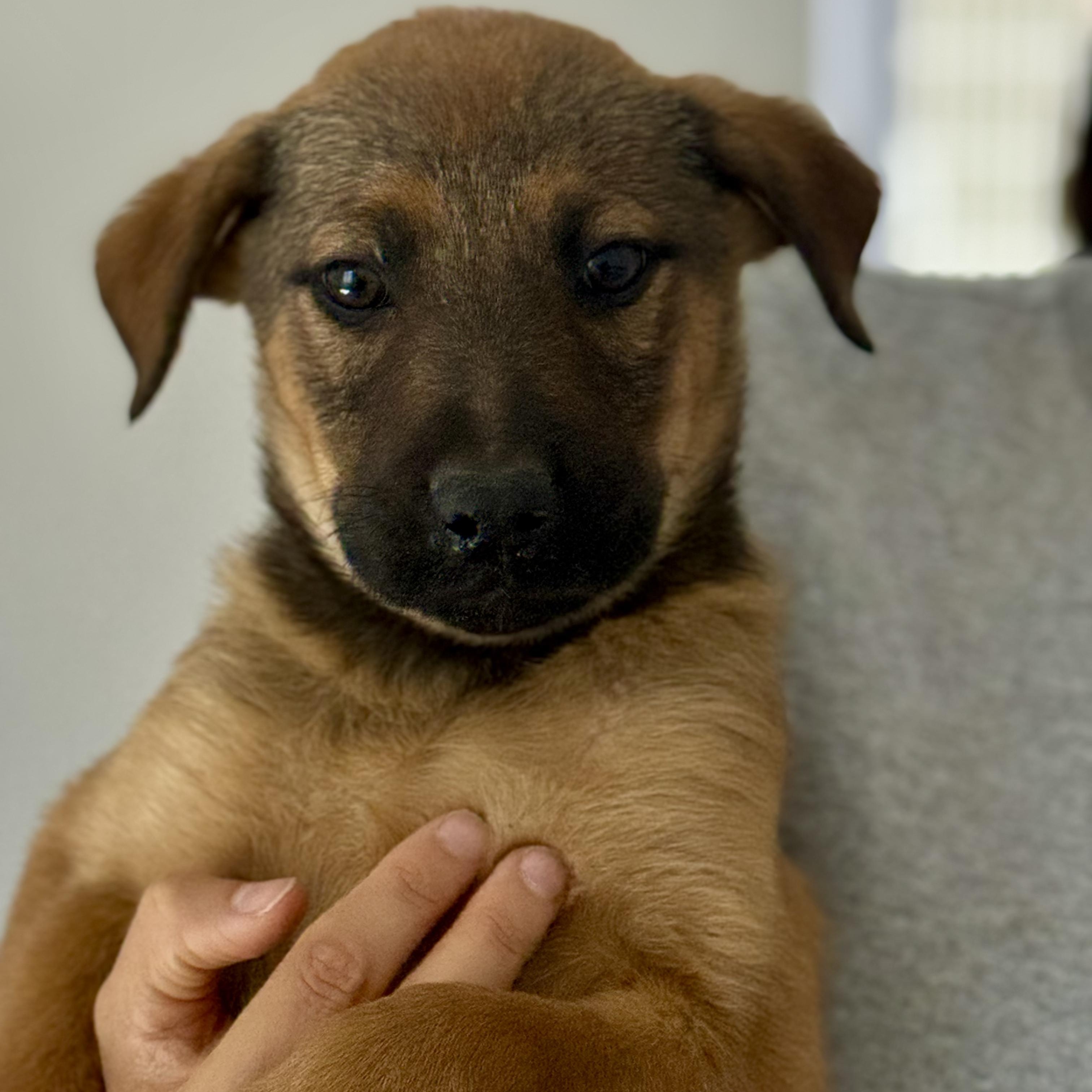 Jack — thumbnail 5