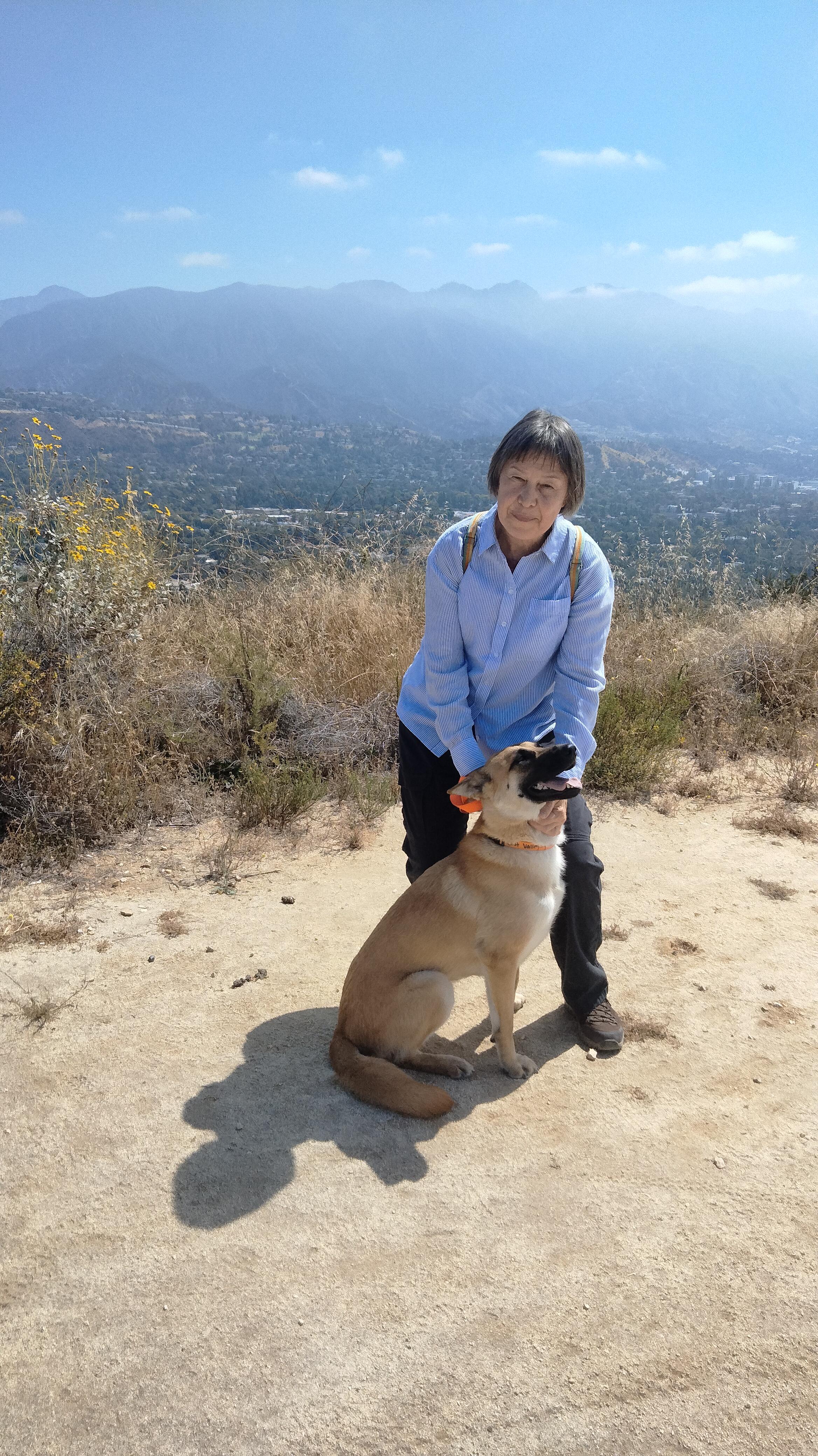 NALA, a ADOPTABLE mixed breed in los angeles, CA image 5/6