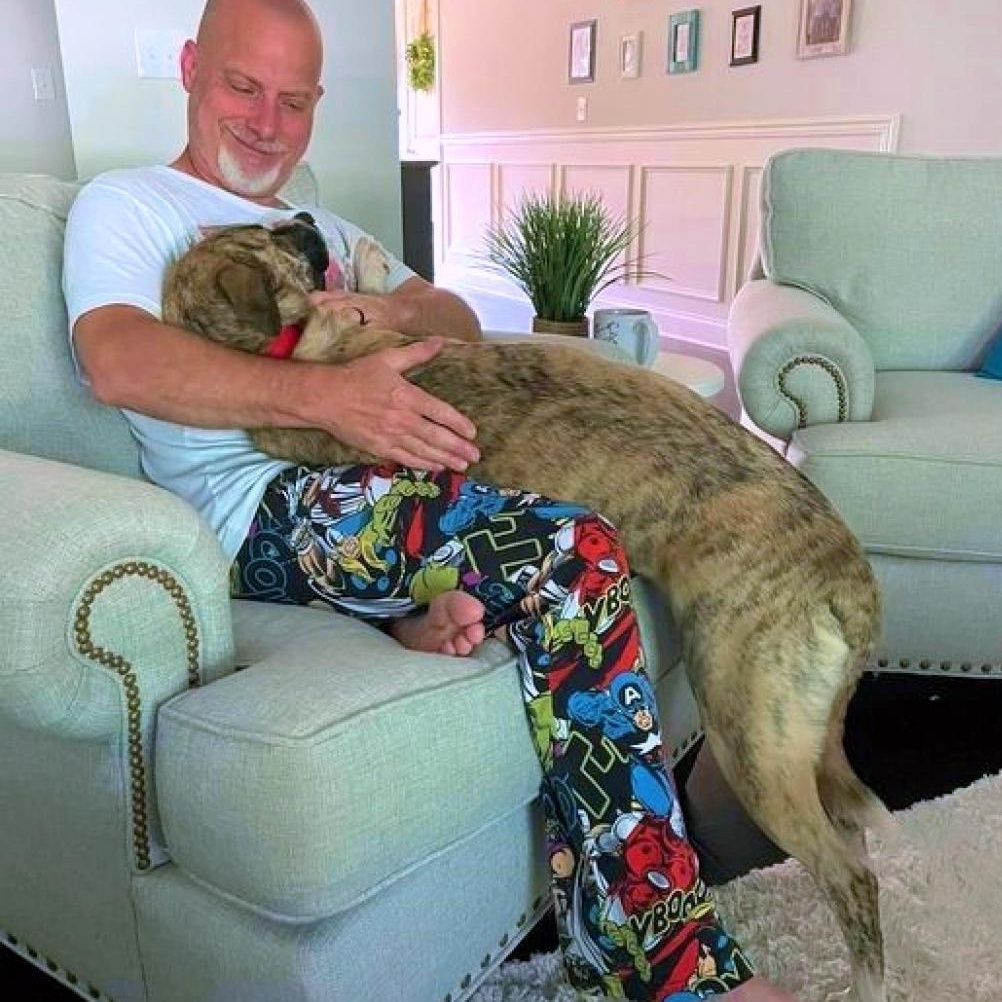 Enlarge Scooby, a Adoptable mixed breed in Helena, AL image 9/11