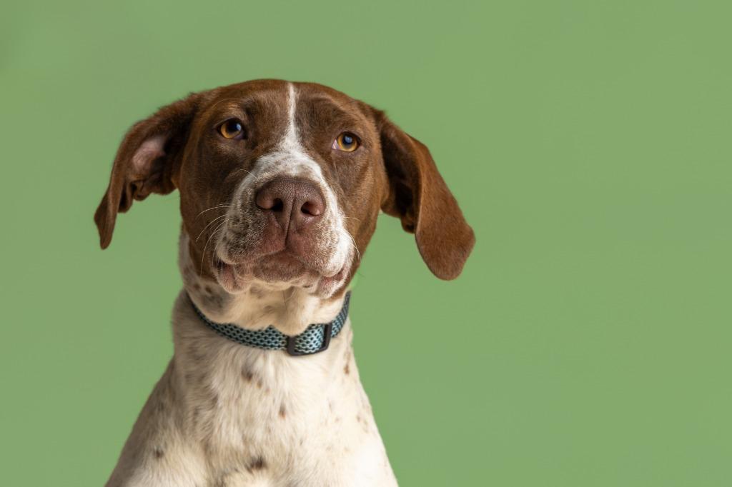 Reba — thumbnail 2