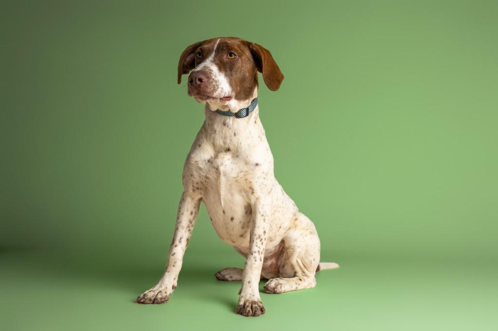 Reba — thumbnail 3