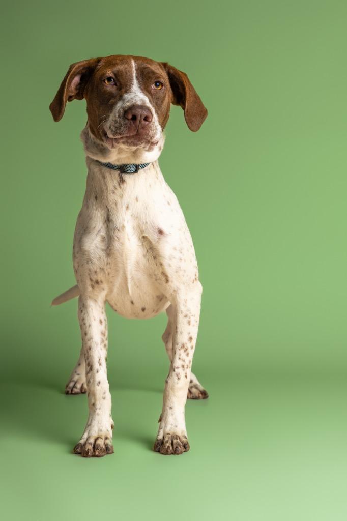 Reba — thumbnail 4