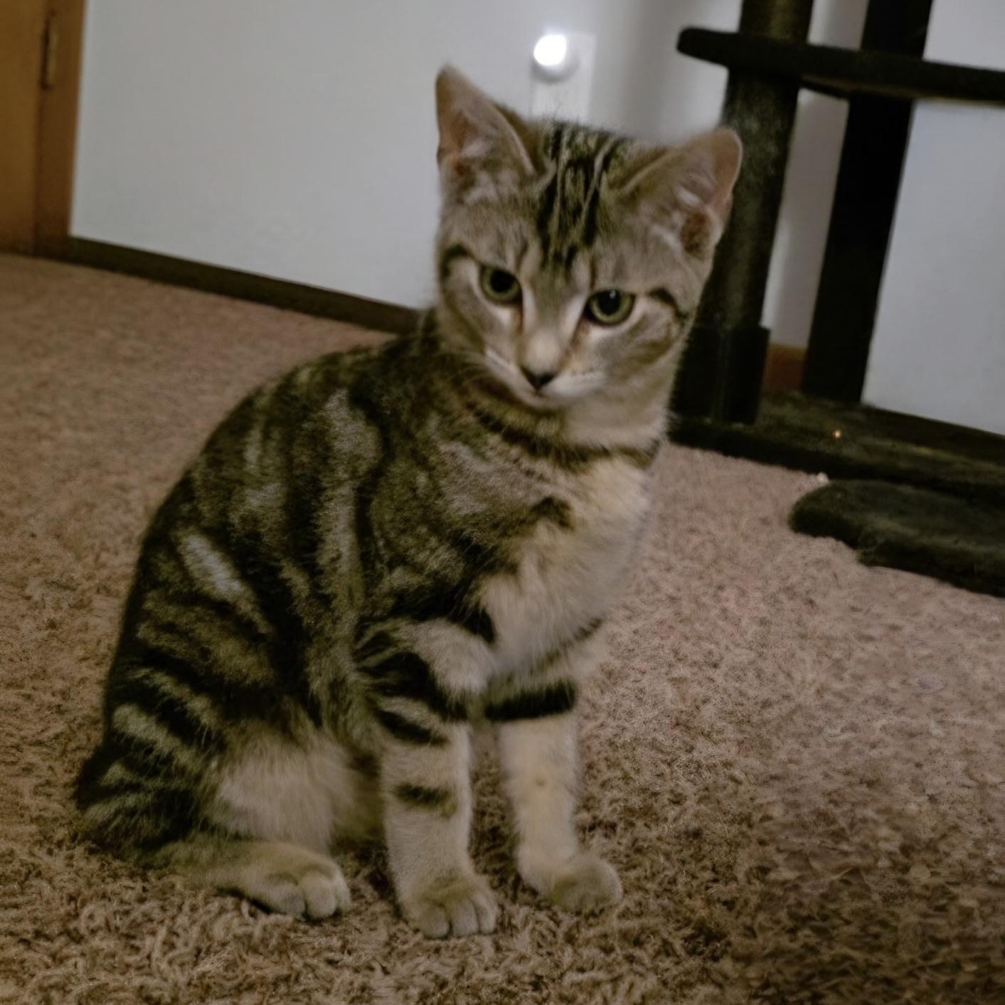 Galley, Marlin, Spice, and Marbles — thumbnail 2