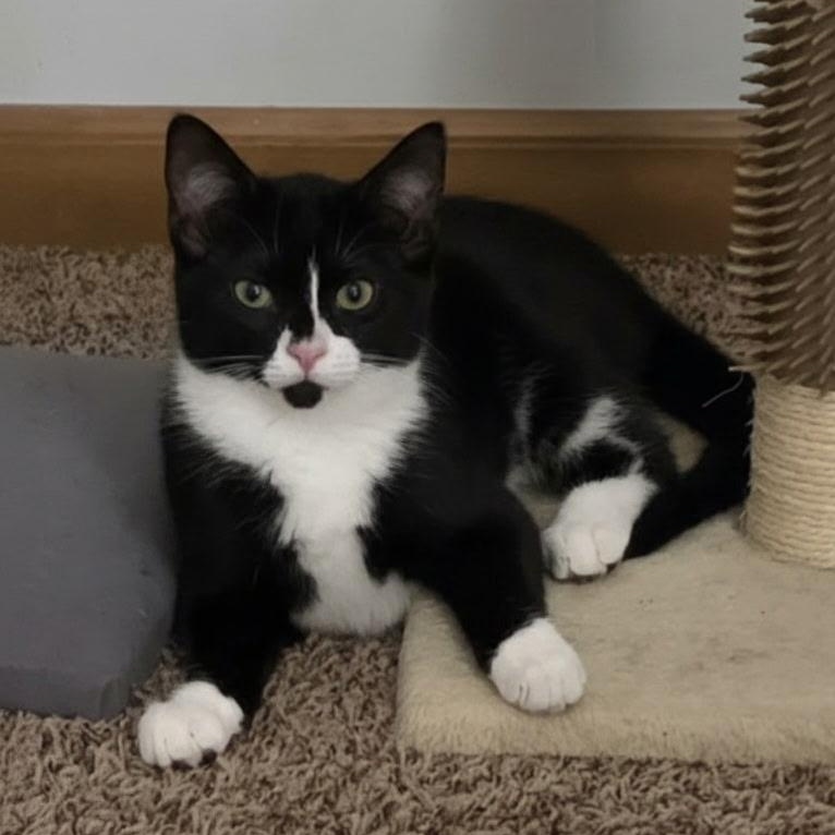 Galley, Marlin, Spice, and Marbles — thumbnail 3