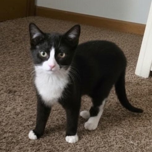 Galley, Marlin, Spice, and Marbles — thumbnail 4