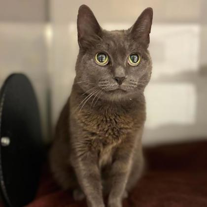 Dora photo