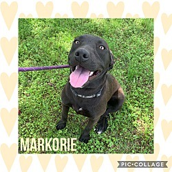Marjorie photo 4