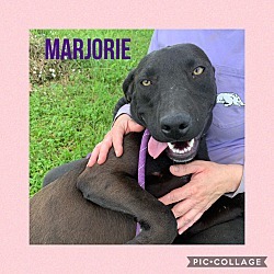 Marjorie photo 3