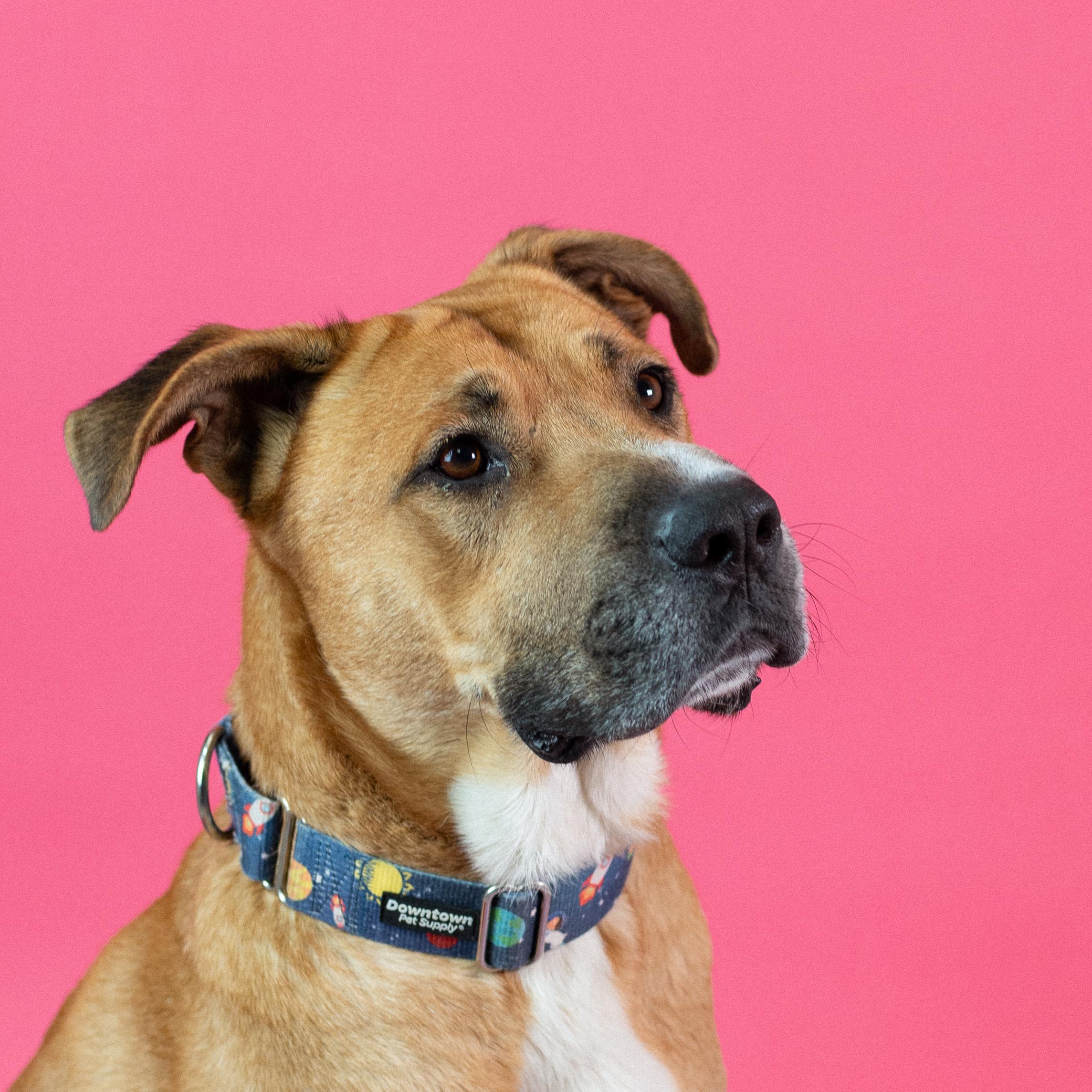 Rufus 4
