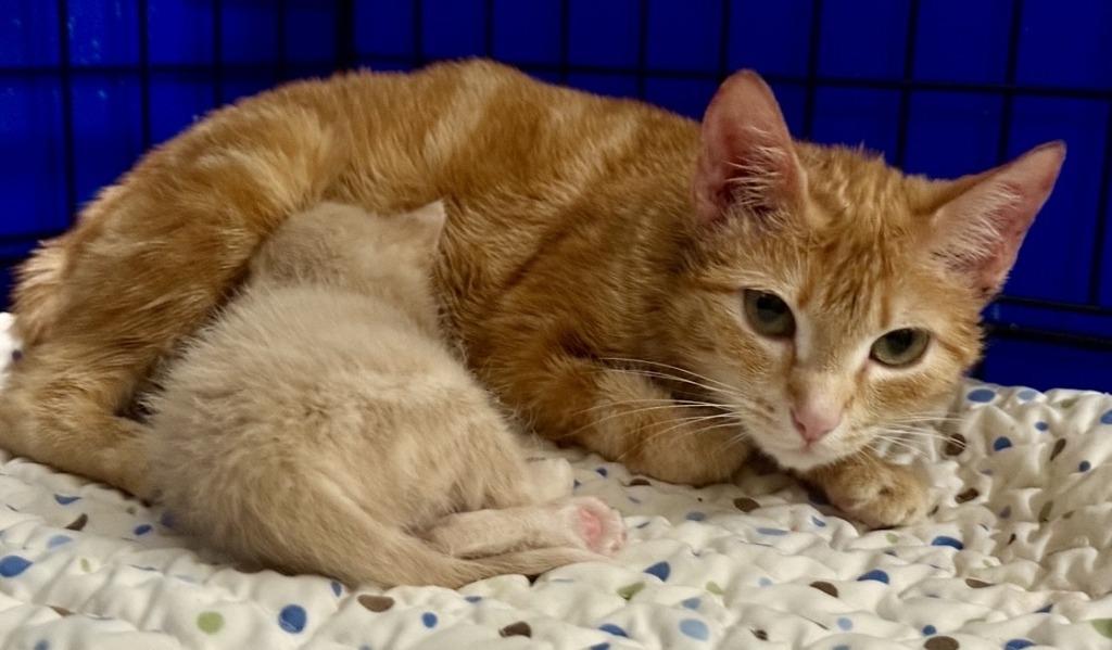 Holly — thumbnail 2