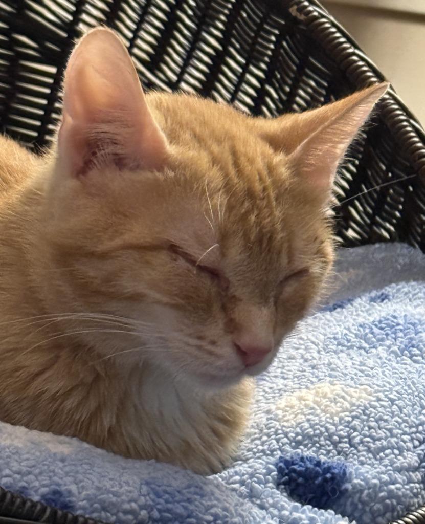 Holly — thumbnail 5