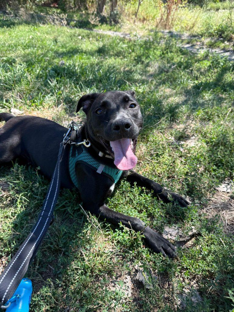 Kiwi The Princess thumbnail 4