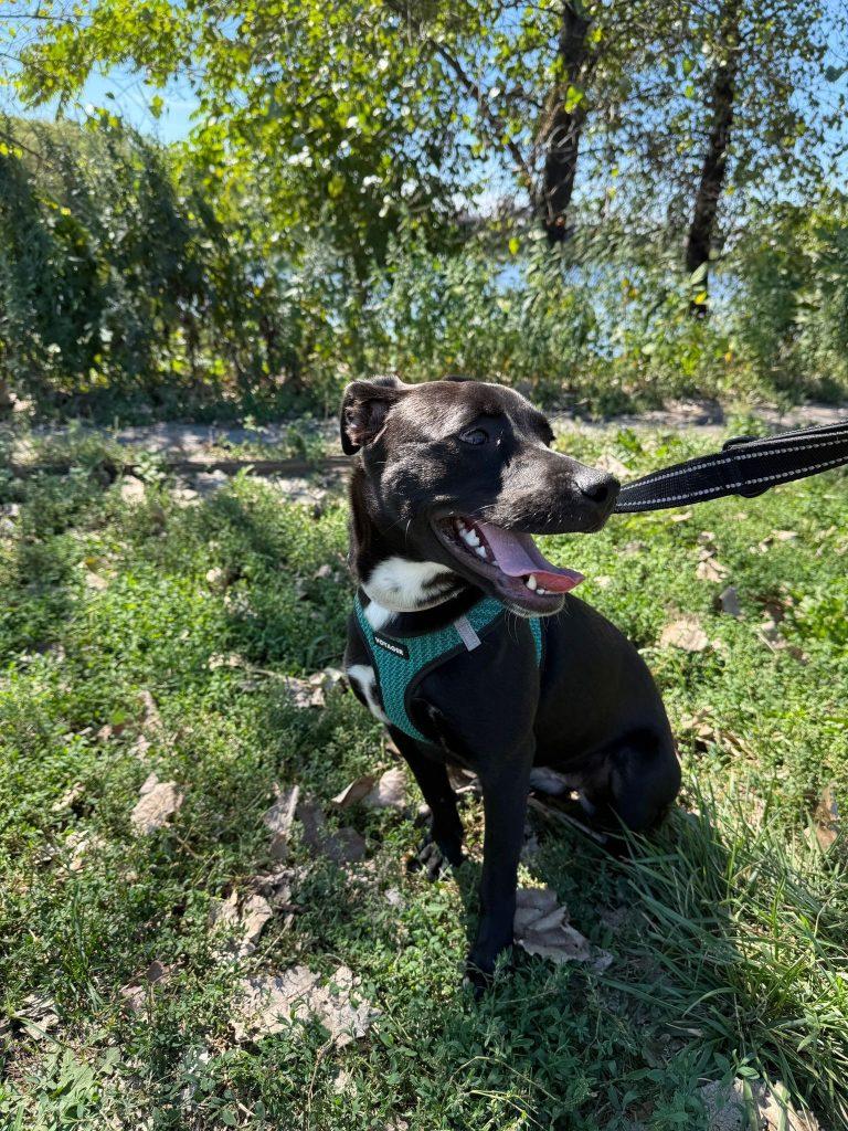 Kiwi The Princess thumbnail 2