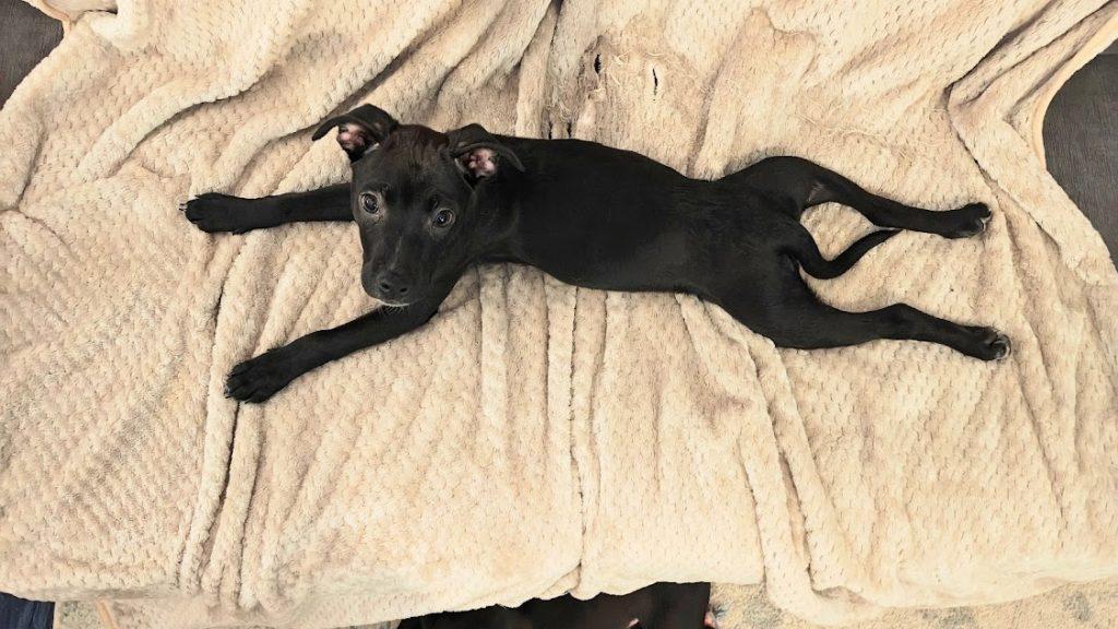 Kiwi the Princess, Baby Female unknown