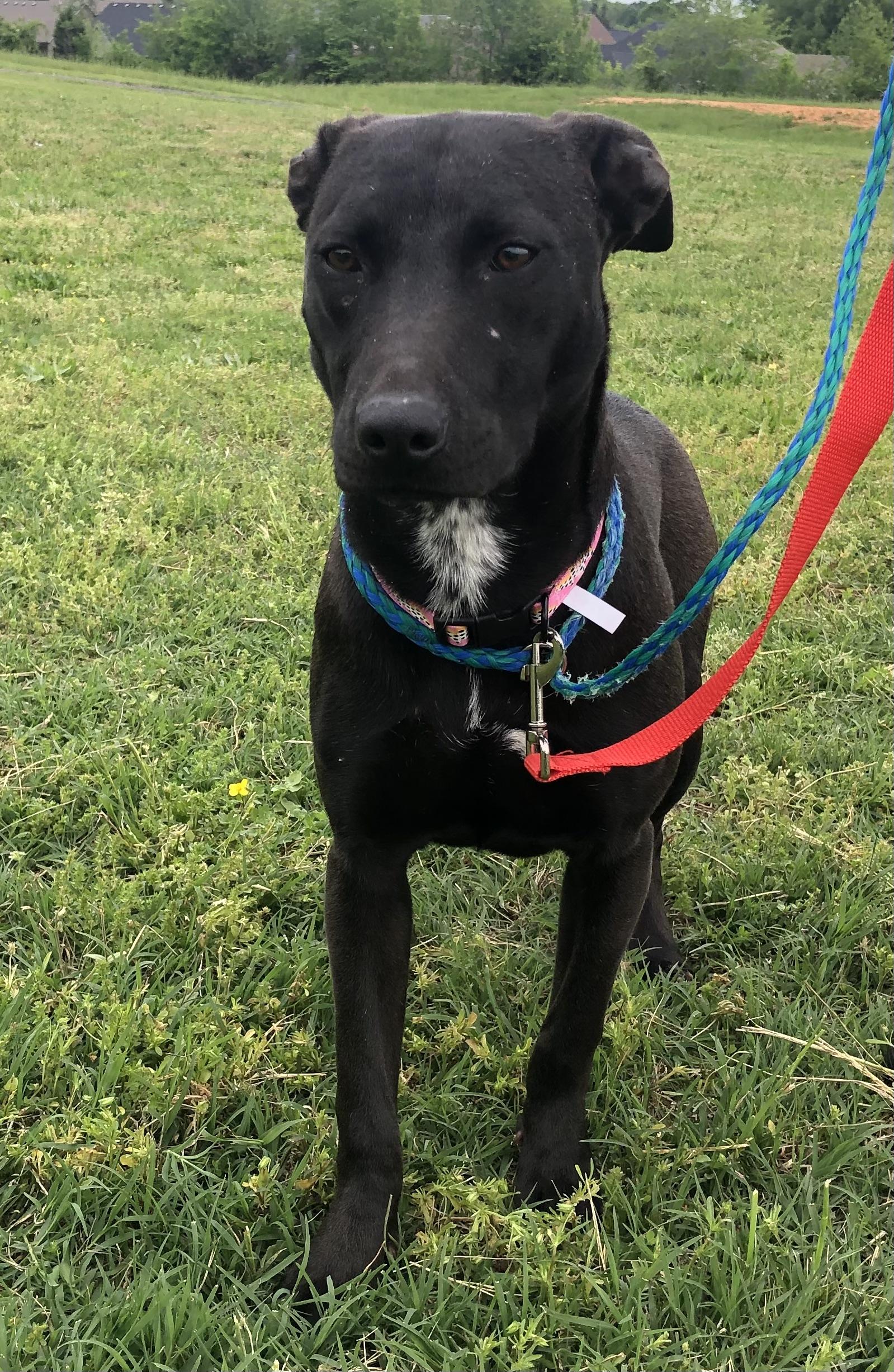 Plankton- only 30lbs!