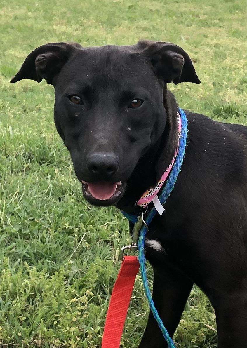 Plankton- only 30lbs!