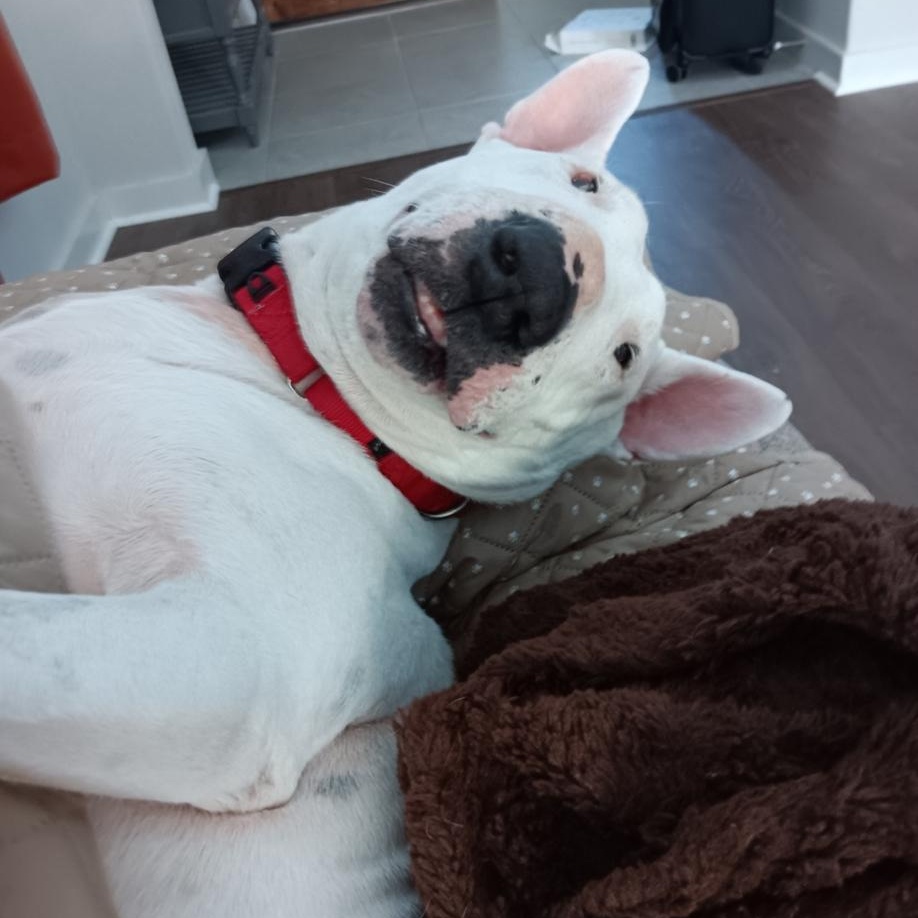 Gina — thumbnail 3